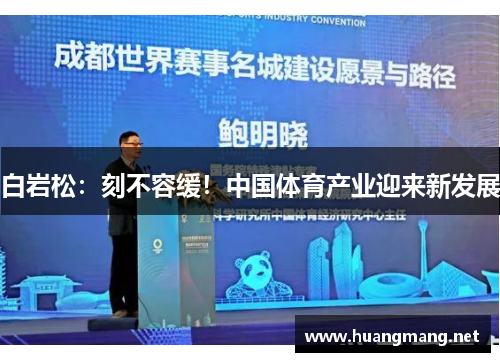 白岩松：刻不容缓！中国体育产业迎来新发展